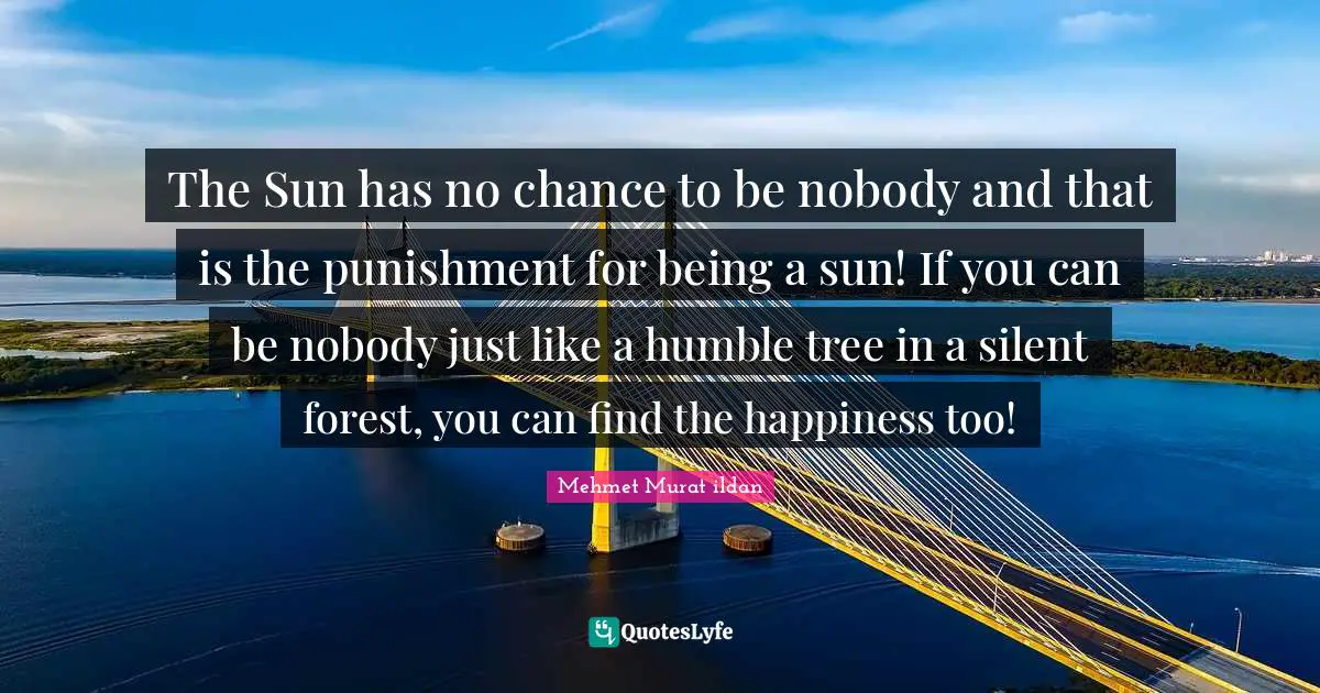 The Sun has no chance to be nobody and that is the punishment for being a sun! If you can be nobody just like a humble tree in a silent forest, you can find the happiness too!