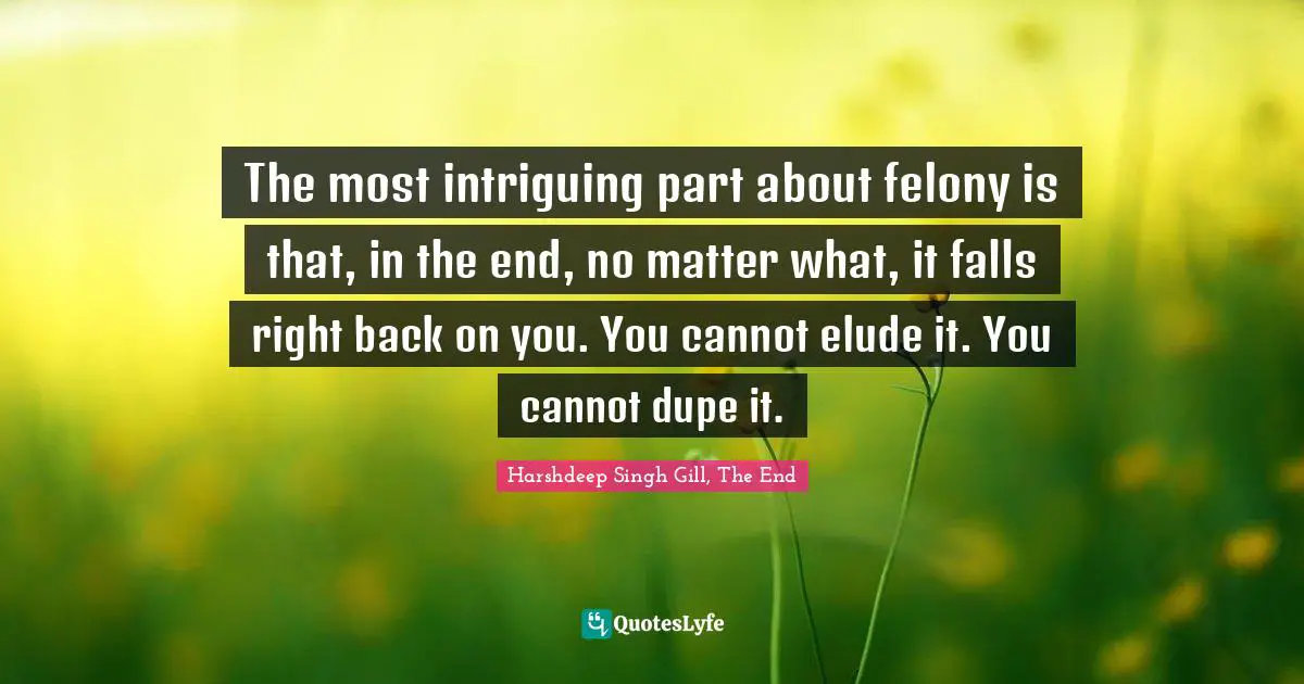 The most intriguing part about felony is that, in the end, no matter what, it falls right back on you. You cannot elude it. You cannot dupe it.
