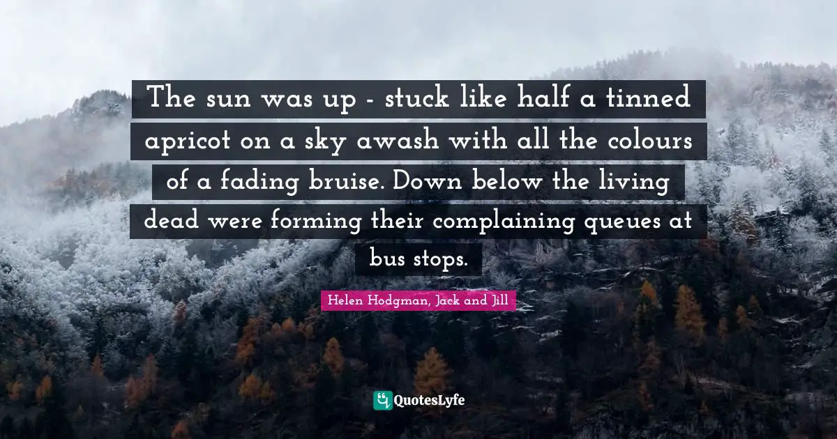 Bruise Quotes: "The sun was up - stuck like half a tinned apricot on a sky awash with all the colours of a fading bruise. Down below the living dead were forming their complaining queues at bus stops."