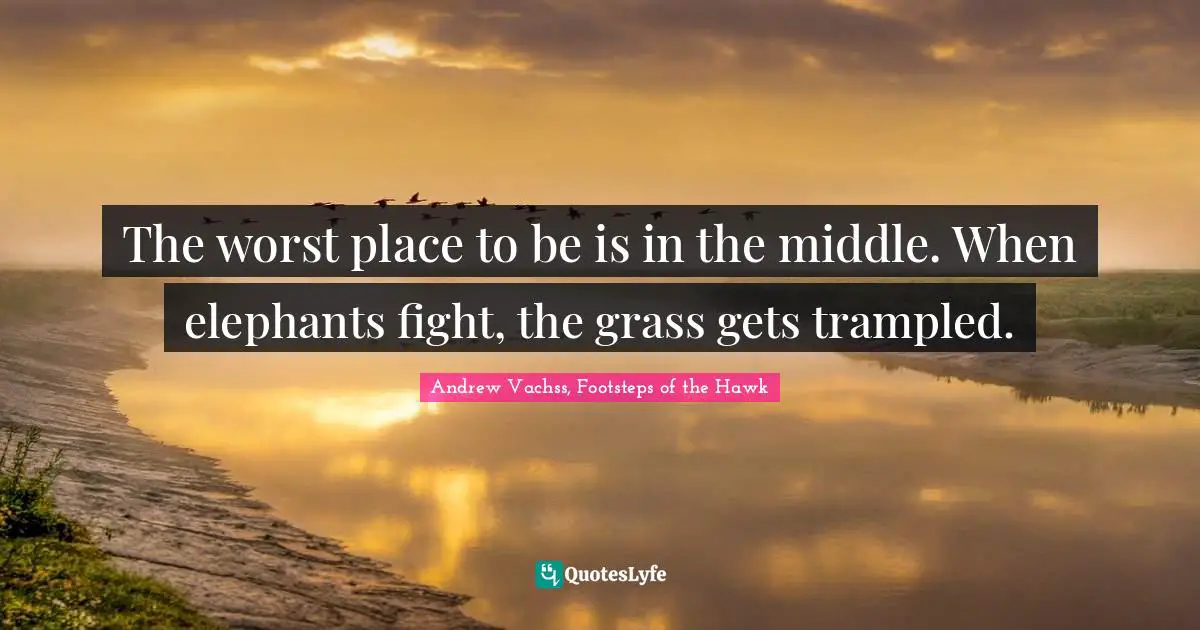 The worst place to be is in the middle. When elephants fight, the grass gets trampled.