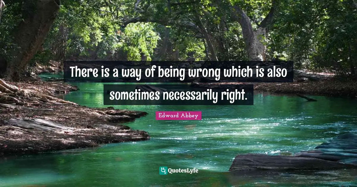 There is a way of being wrong which is also sometimes necessarily right.