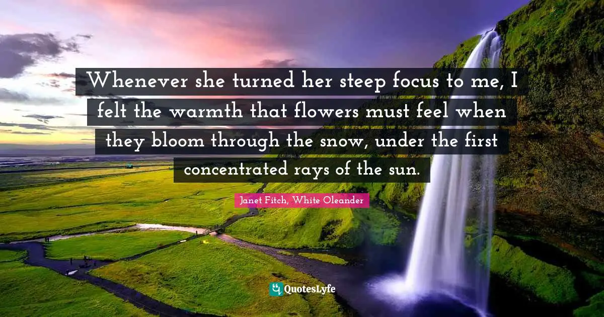 Whenever she turned her steep focus to me, I felt the warmth that flowers must feel when they bloom through the snow, under the first concentrated rays of the sun.