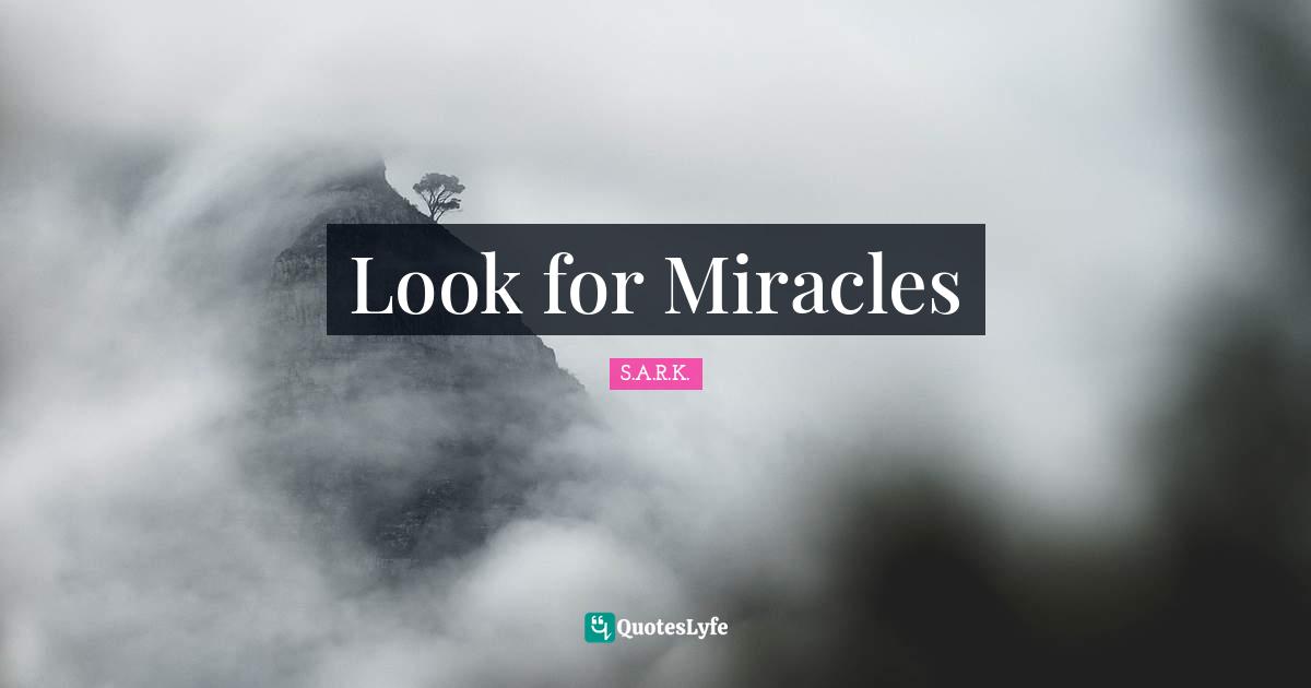 Look for Miracles