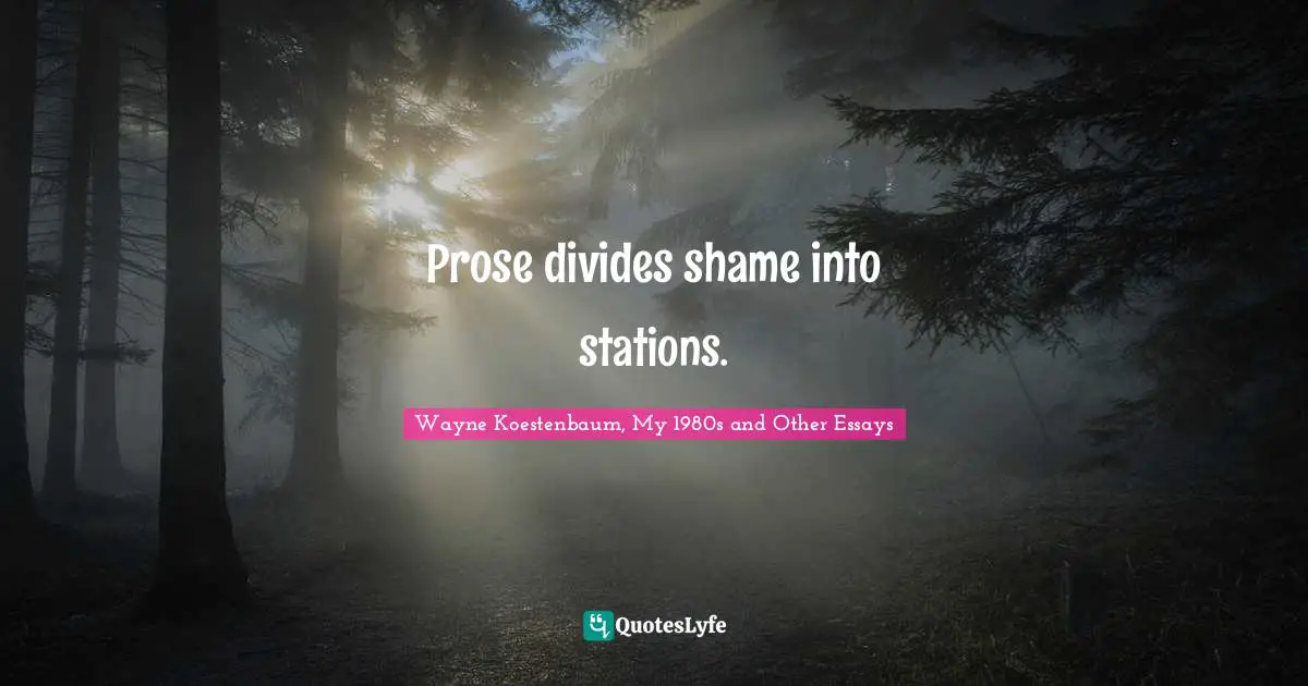 Prose divides shame into stations.