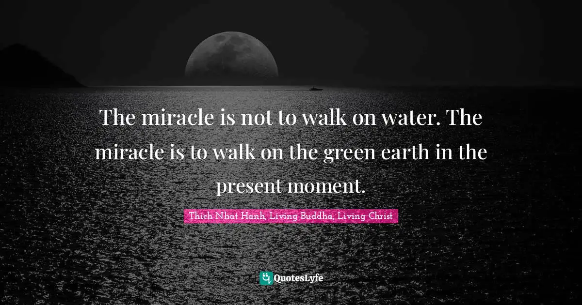 The miracle is not to walk on water. The miracle is to walk on the green earth in the present moment.