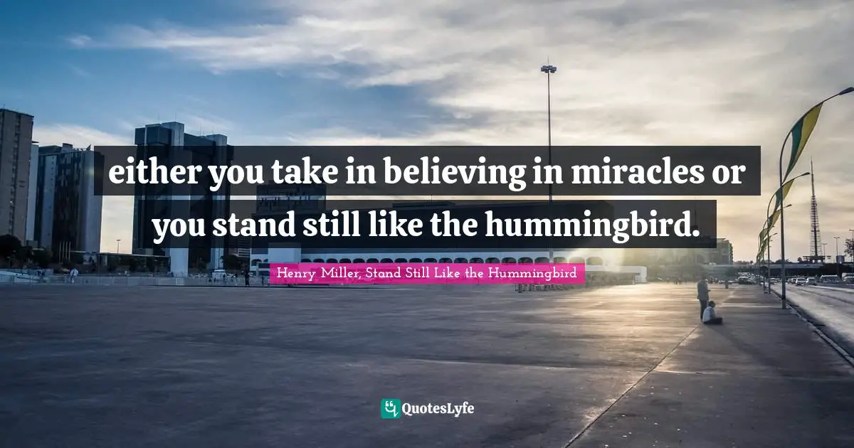 either you take in believing in miracles or you stand still like the hummingbird.