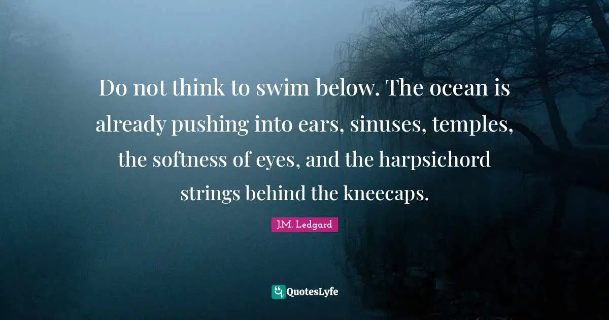 Do not think to swim below. The ocean is already pushing into ears, sinuses, temples, the softness of eyes, and the harpsichord strings behind the kneecaps.