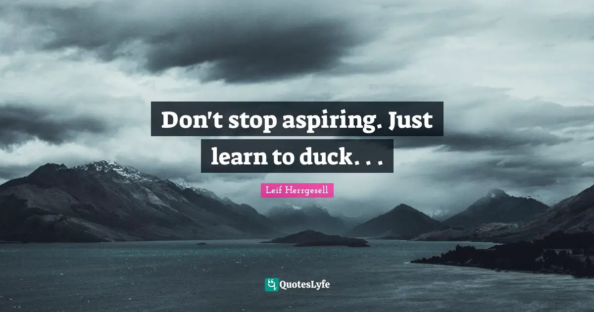 Don't stop aspiring. Just learn to duck. . .
