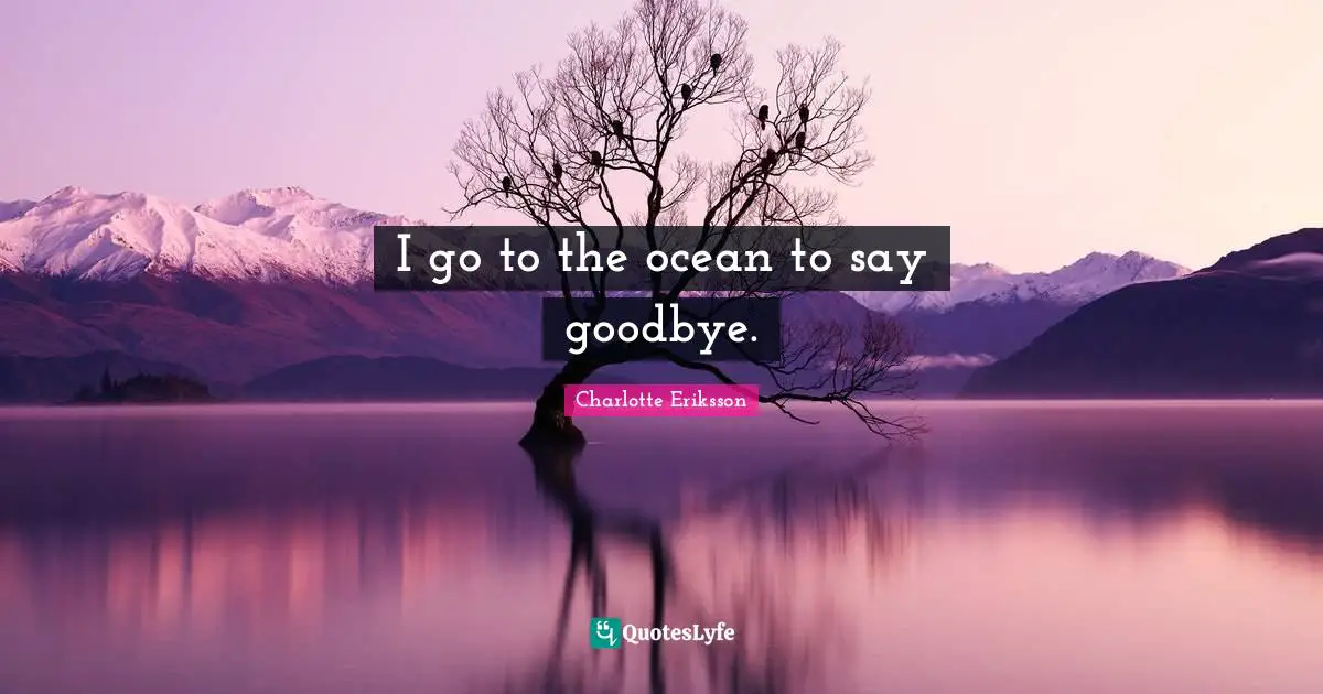 I go to the ocean to say goodbye.