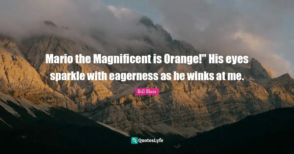 Mario the Magnificent is Orange!" His eyes sparkle with eagerness as he winks at me.