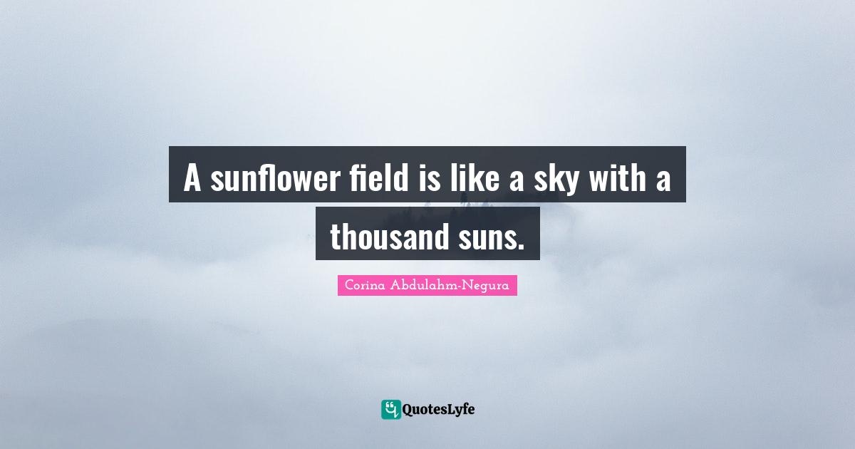 A sunflower field is like a sky with a thousand suns.