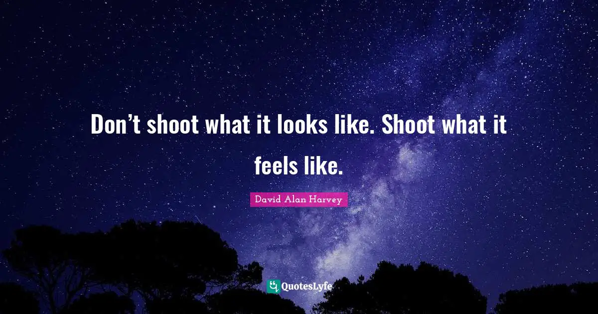 Don’t shoot what it looks like. Shoot what it feels like.