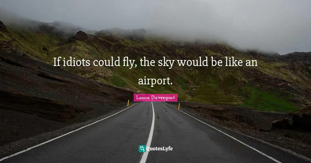 If idiots could fly, the sky would be like an airport.