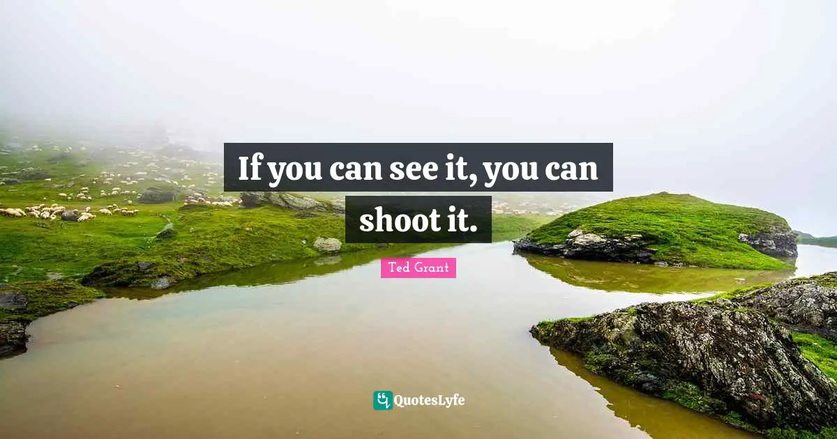 If you can see it, you can shoot it.