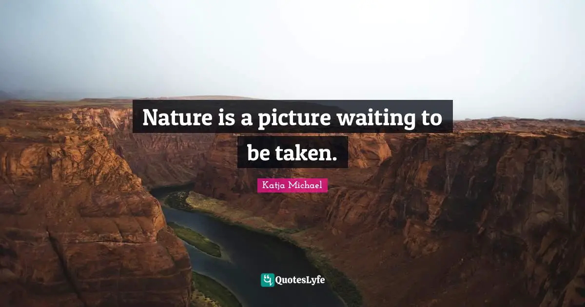Nature is a picture waiting to be taken.