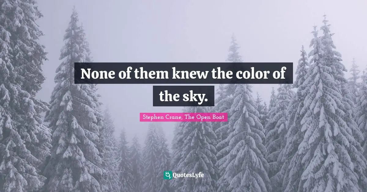 None of them knew the color of the sky.