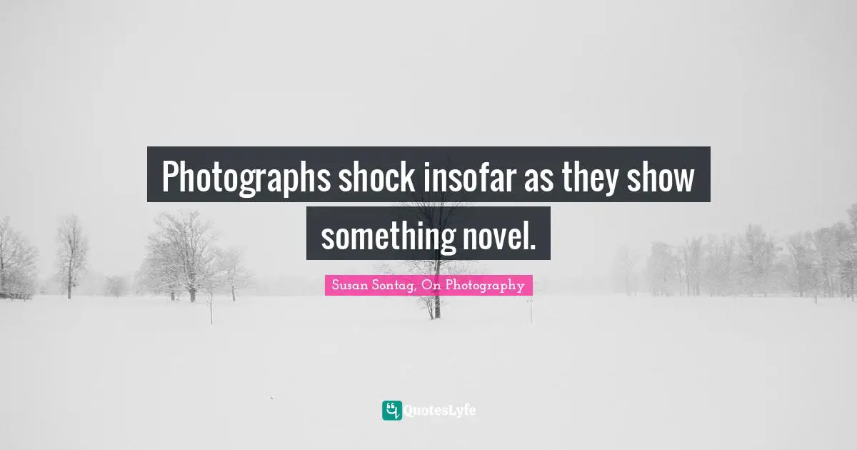 Susan Sontag, On Photography Quotes: "Photographs shock insofar as they show something novel."