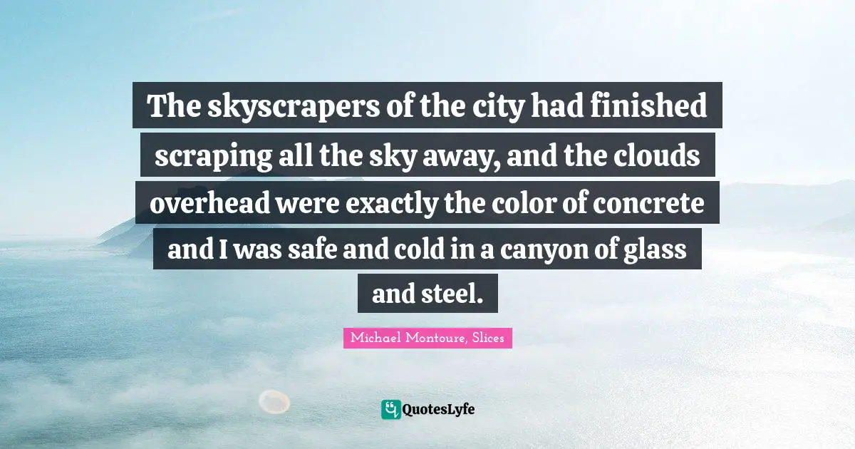 The skyscrapers of the city had finished scraping all the sky away, and the clouds overhead were exactly the color of concrete and I was safe and cold in a canyon of glass and steel.