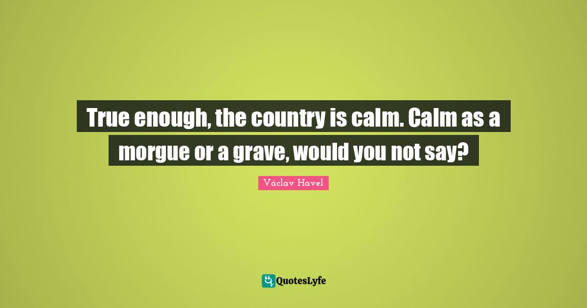 True enough, the country is calm. Calm as a morgue or a grave, would you not say?