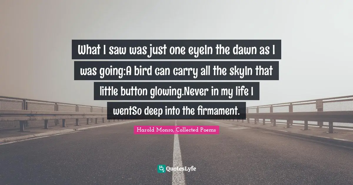 What I saw was just one eyeIn the dawn as I was going:A bird can carry all the skyIn that little button glowing.Never in my life I wentSo deep into the firmament.
