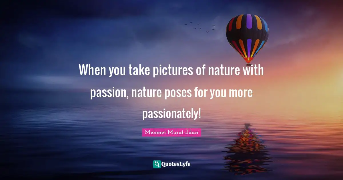 When you take pictures of nature with passion, nature poses for you more passionately!