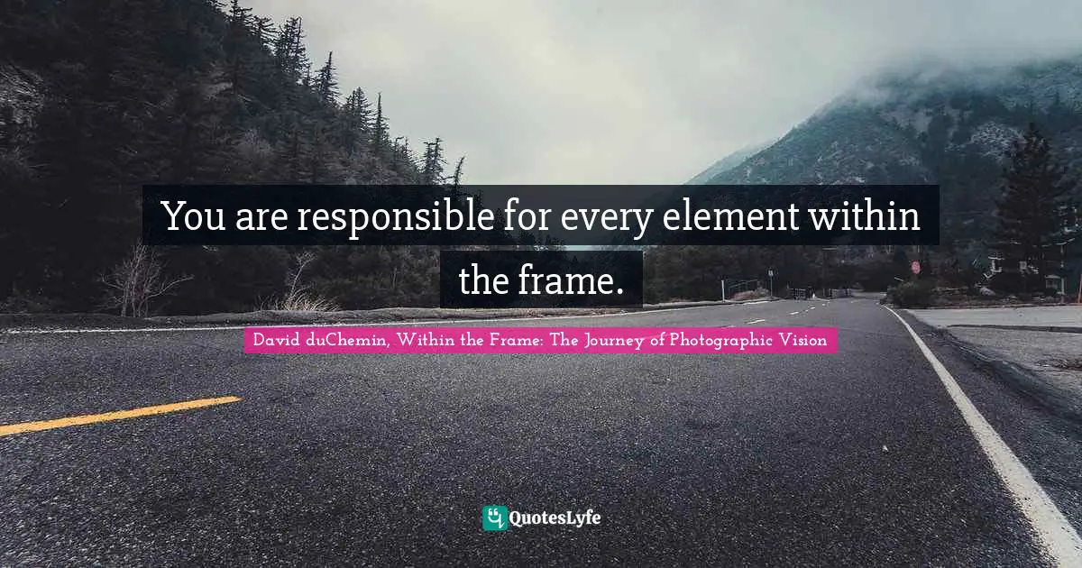 David DuChemin, Within The Frame: The Journey Of Photographic Vision Quotes: "You are responsible for every element within the frame."