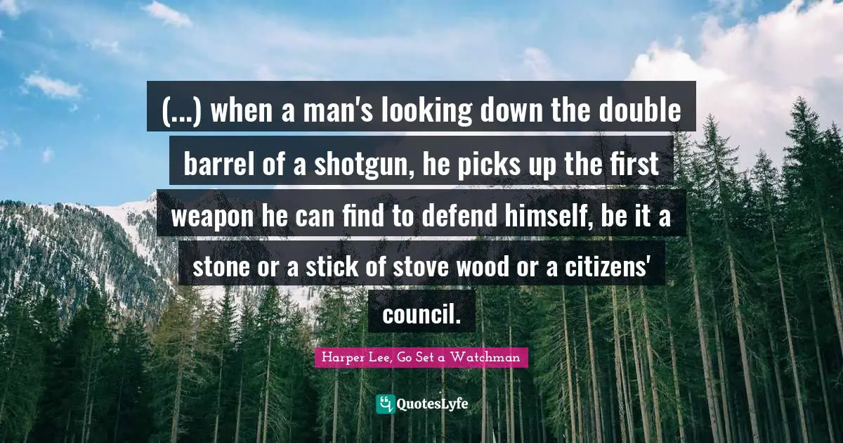 (...) when a man's looking down the double barrel of a shotgun, he picks up the first weapon he can find to defend himself, be it a stone or a stick of stove wood or a citizens' council.