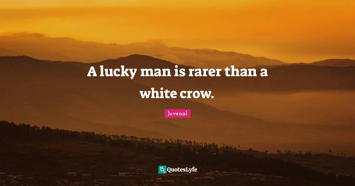 Juvenal Quotes: "A lucky man is rarer than a white crow."