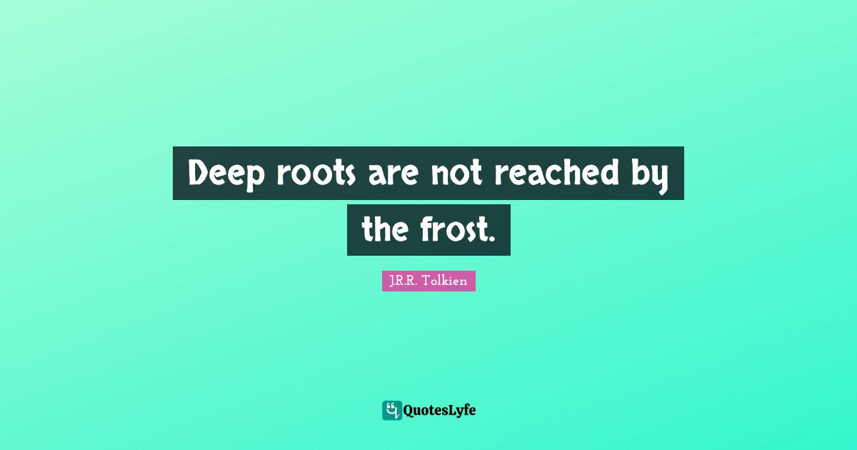 Inner Quotes: "Deep roots are not reached by the frost."