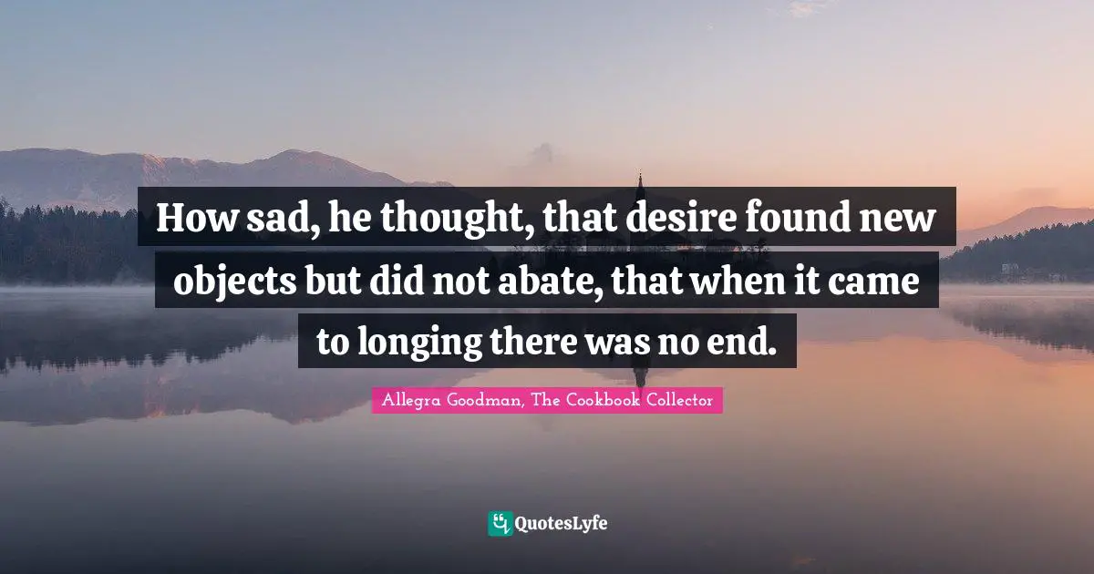 How sad, he thought, that desire found new objects but did not abate, that when it came to longing there was no end.