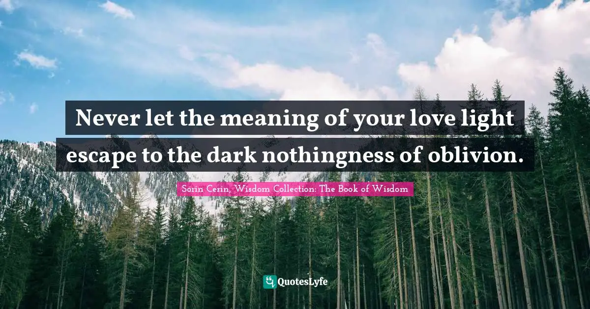 Sorin Cerin, Wisdom Collection: The Book Of Wisdom Quotes: "Never let the meaning of your love light escape to the dark nothingness of oblivion."