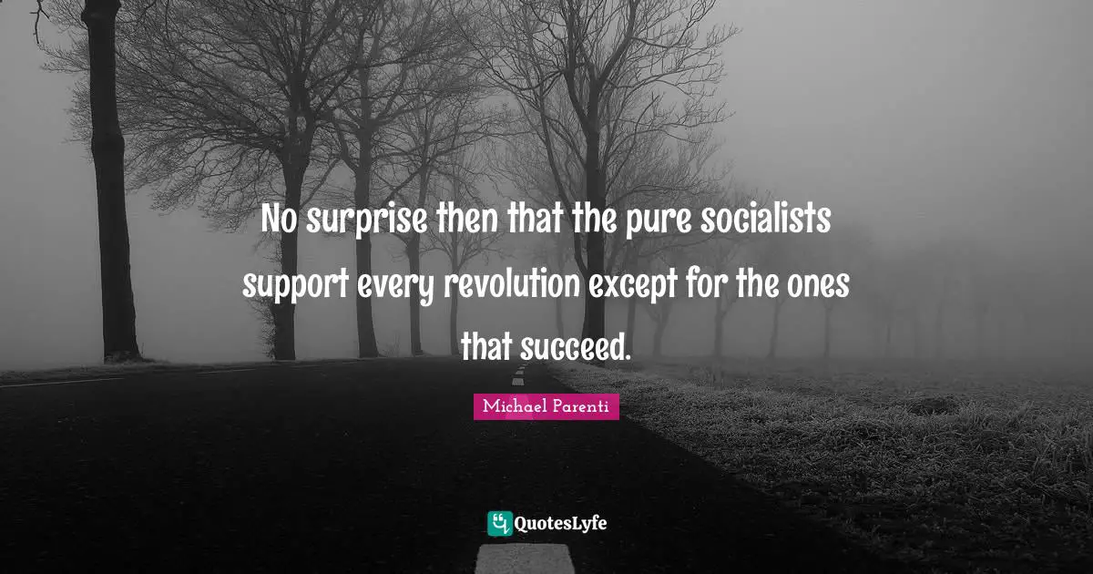 No surprise then that the pure socialists support every revolution except for the ones that succeed.