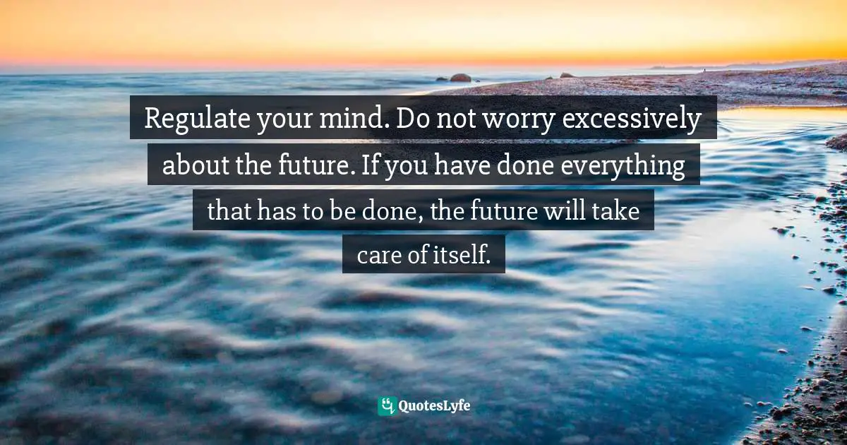 Choa Kok Sui, Compassionate Objectivity - The Golden Lotus Sutras On Character Building Quotes: "Regulate your mind. Do not worry excessively about the future. If you have done everything that has to be done, the future will take care of itself."