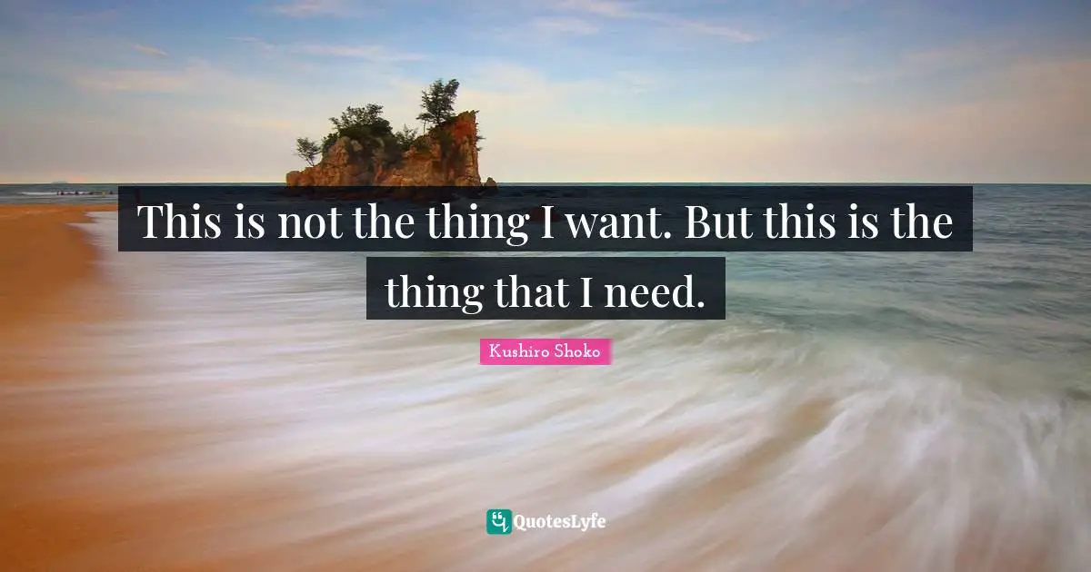 This is not the thing I want. But this is the thing that I need.