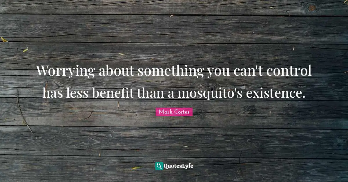 Worrying about something you can't control has less benefit than a mosquito's existence.