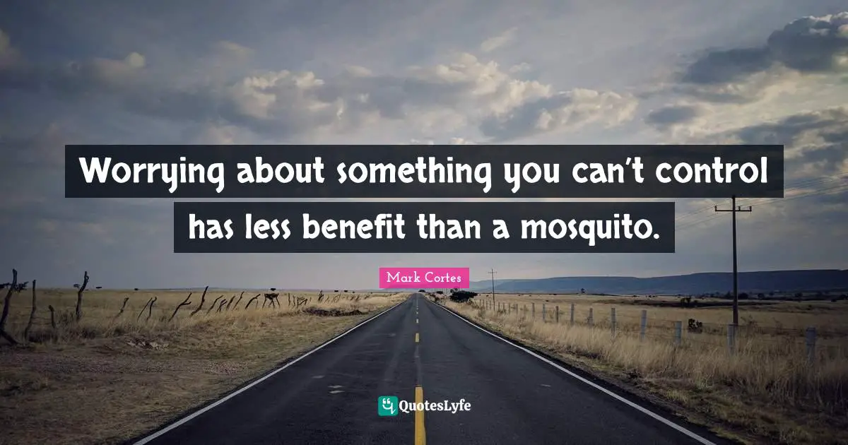 Worrying about something you can’t control has less benefit than a mosquito.