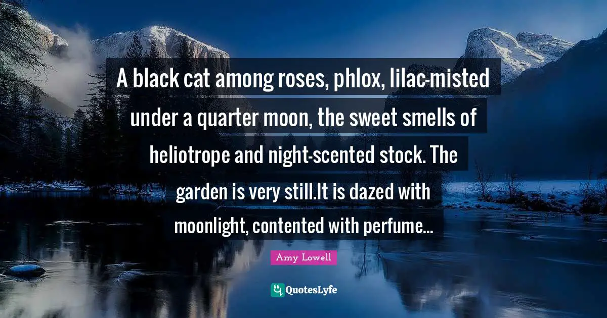 A black cat among roses, phlox, lilac-misted under a quarter moon, the sweet smells of heliotrope and night-scented stock. The garden is very still.It is dazed with moonlight, contented with perfume...