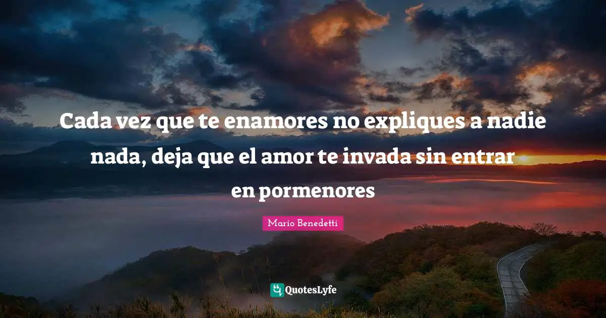 Cada vez que te enamores no expliques a nadie nada, deja que el amor te invada sin entrar en pormenores