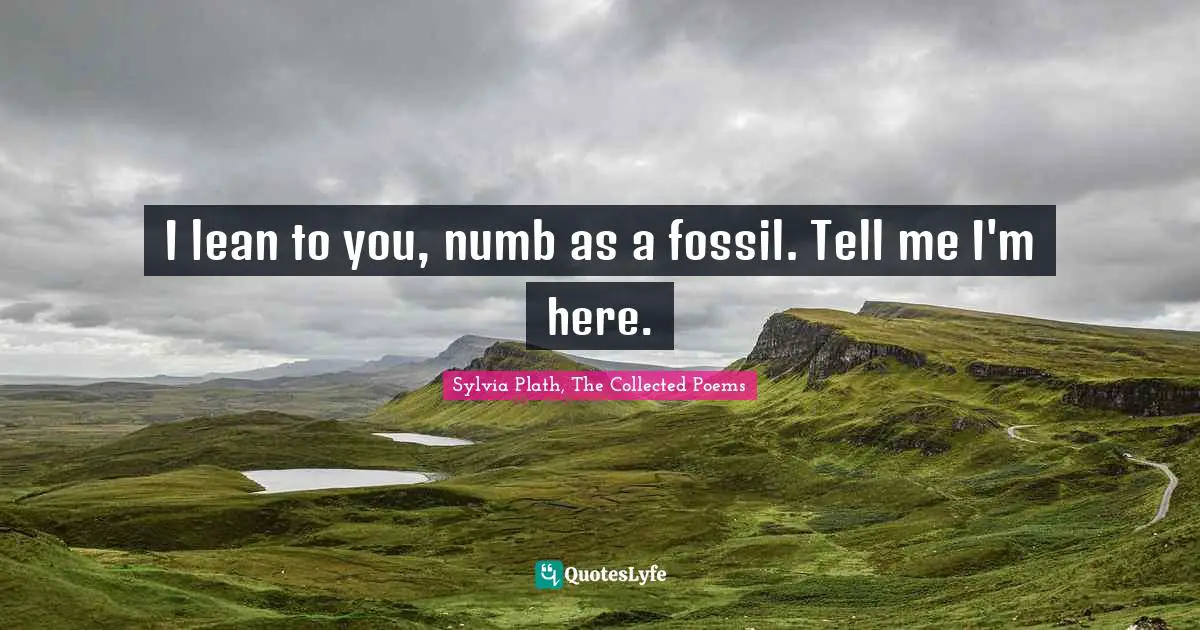 Sylvia Plath, The Collected Poems Quotes: "I lean to you, numb as a fossil. Tell me I'm here."
