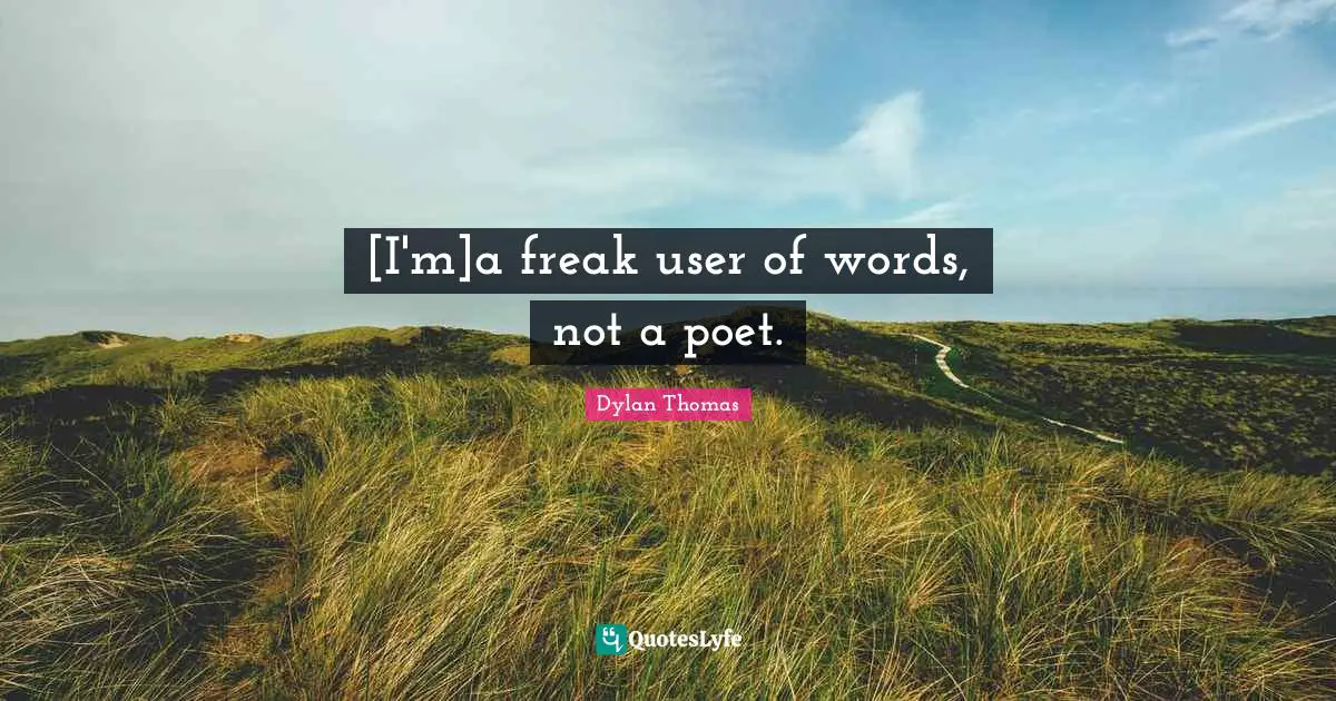 [I'm]a freak user of words, not a poet.