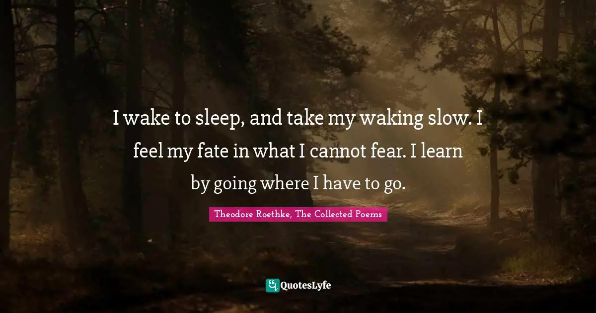 Theodore Roethke Quotes: "I wake to sleep, and take my waking slow. I feel my fate in what I cannot fear. I learn by going where I have to go."