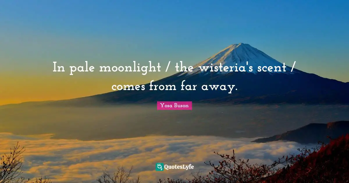 In pale moonlight / the wisteria's scent / comes from far away.