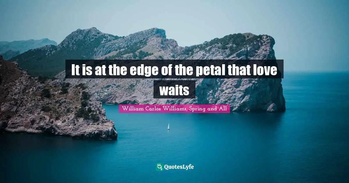 William Carlos Williams Quotes: "It is at the edge of the petal that love waits"