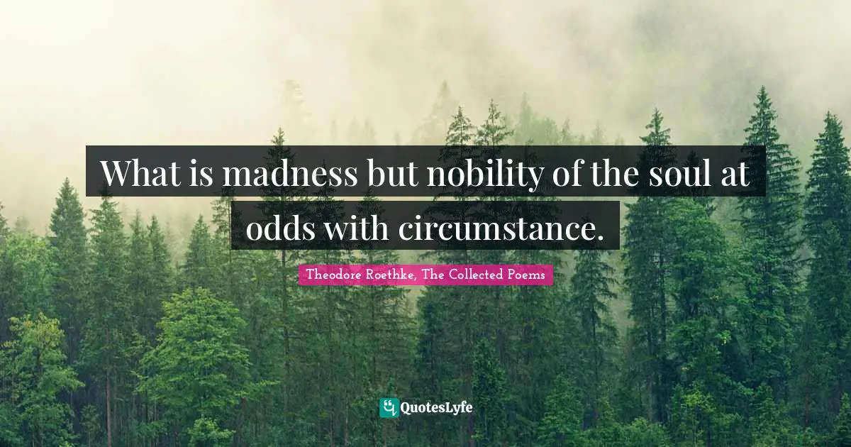 What is madness but nobility of the soul at odds with circumstance.