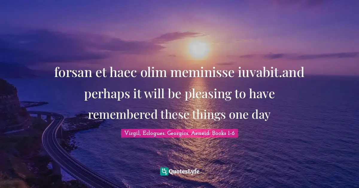 forsan et haec olim meminisse iuvabit.and perhaps it will be pleasing to have remembered these things one day