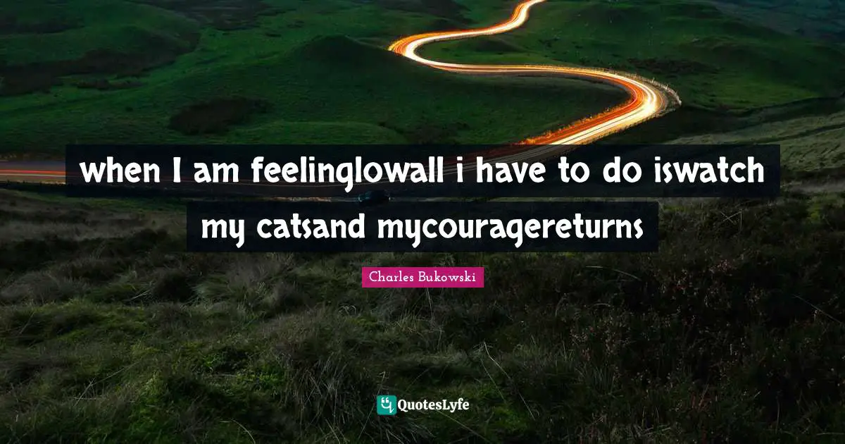 Poem Quotes: "when I am feelinglowall i have to do iswatch my catsand mycouragereturns"