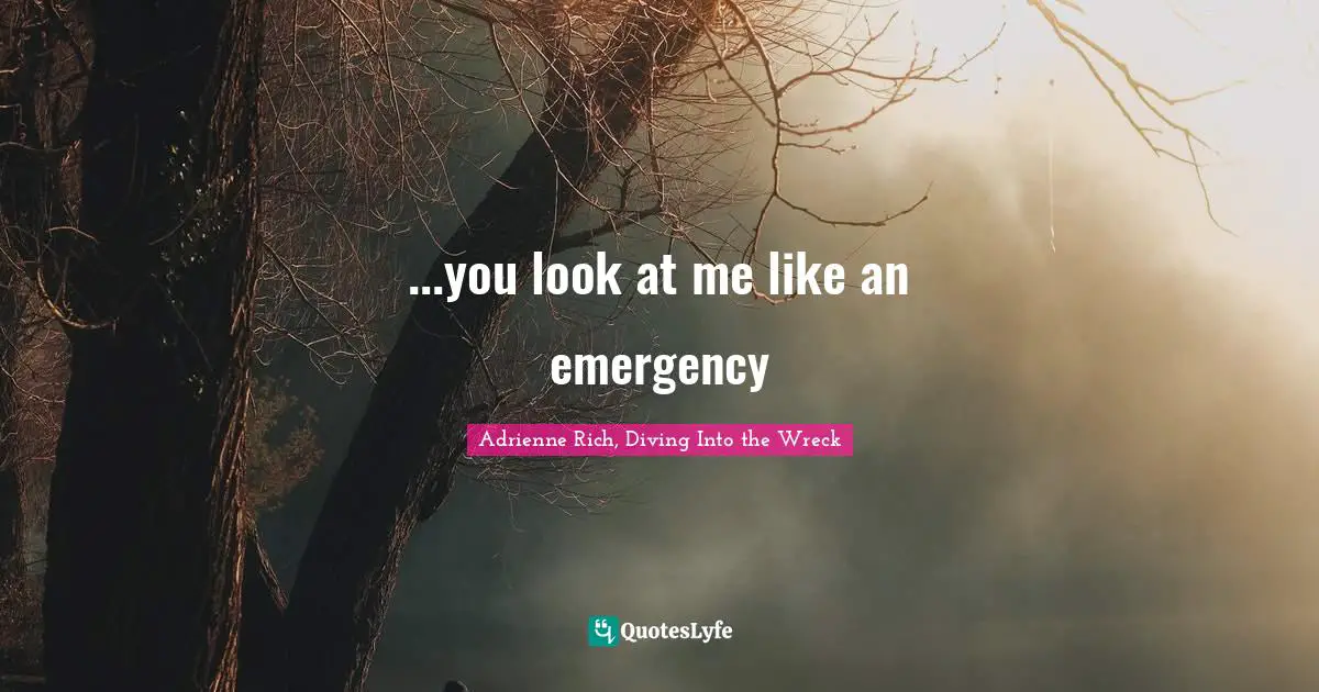 Adrienne Rich, Diving Into The Wreck Quotes: "...you look at me like an emergency"