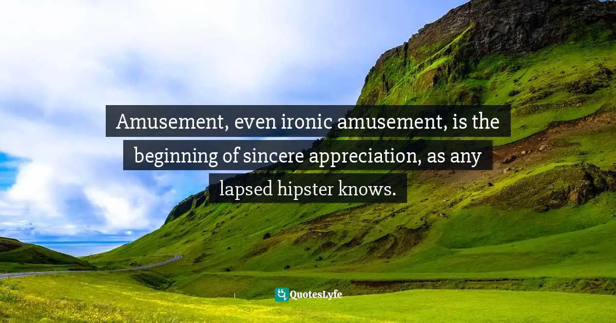 Amusement, even ironic amusement, is the beginning of sincere appreciation, as any lapsed hipster knows.