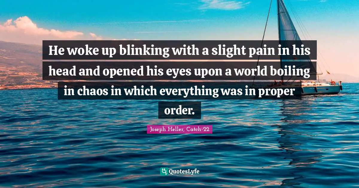 He woke up blinking with a slight pain in his head and opened his eyes upon a world boiling in chaos in which everything was in proper order.