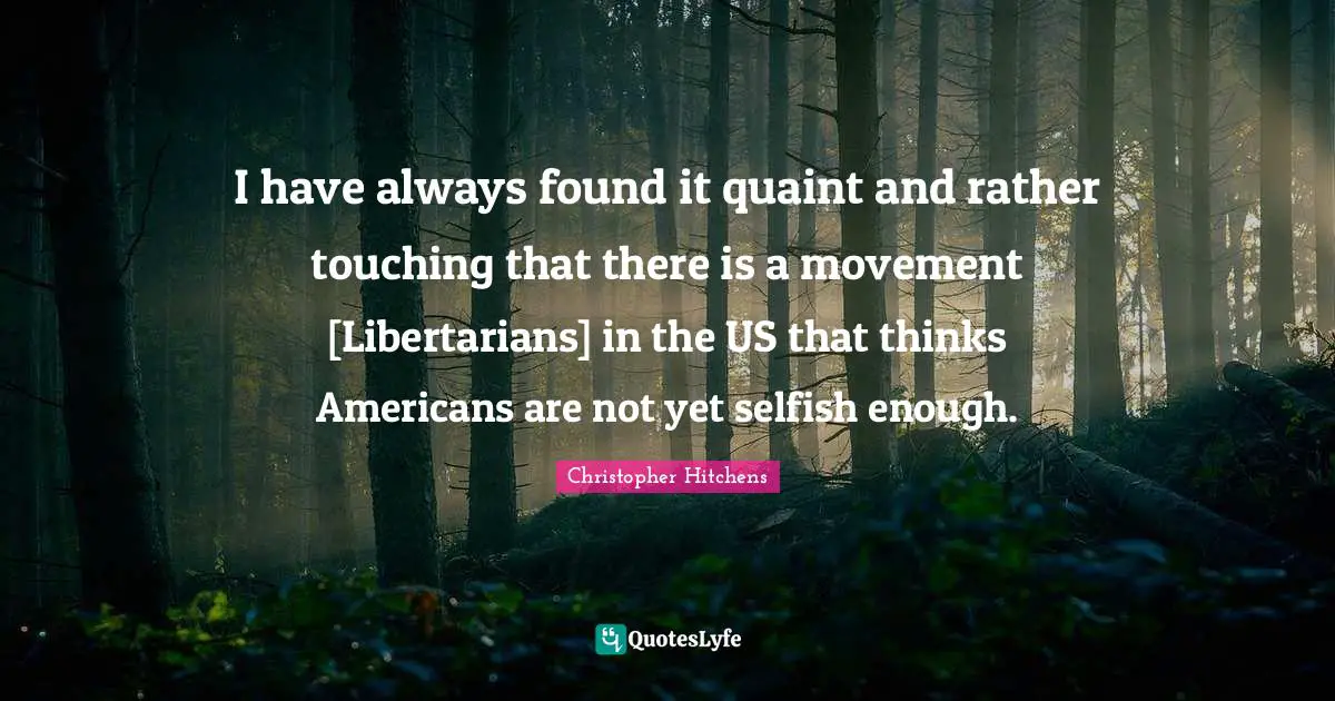 I have always found it quaint and rather touching that there is a movement [Libertarians] in the US that thinks Americans are not yet selfish enough.